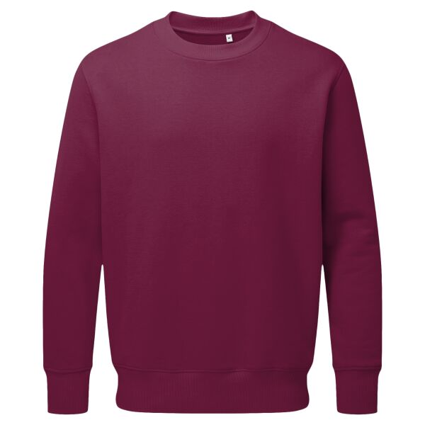 Anthem sweatshirt Vignette