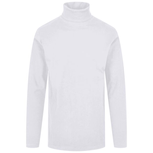 Turtle neck long sleeve Vignette