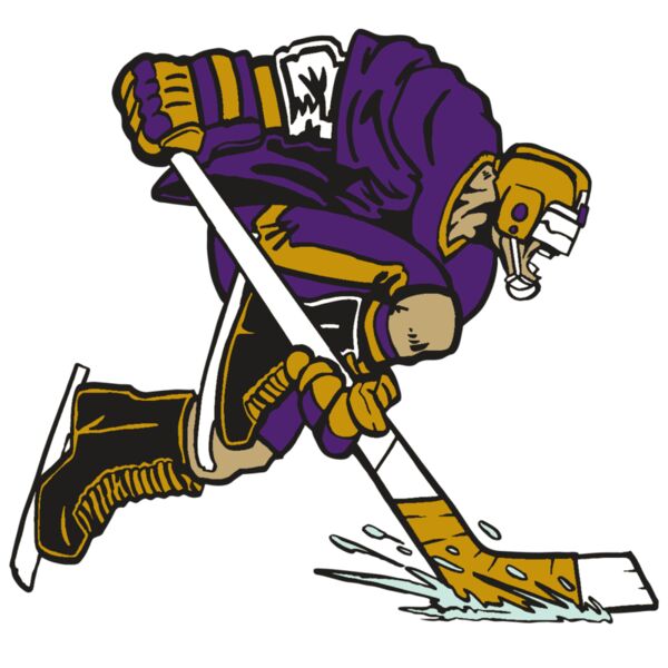 AR3 HOCKEY 15 RQC Vignette