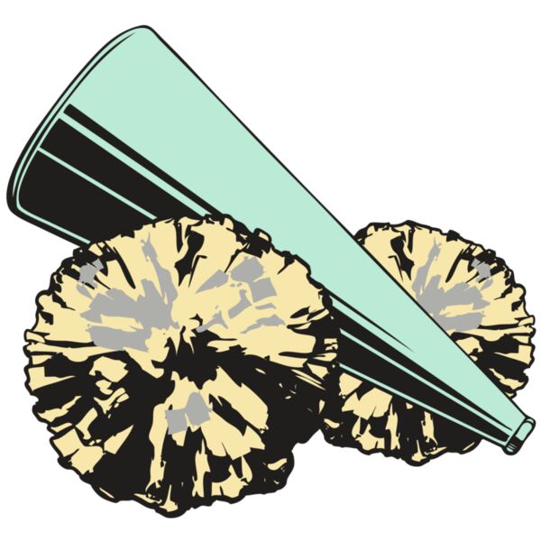 BAW CHEER 19 RC Vignette