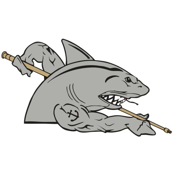 AR POOL 27 RC Vignette