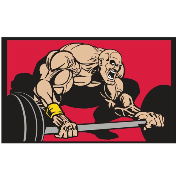 AR WEIGHTS 45 RC Vignette