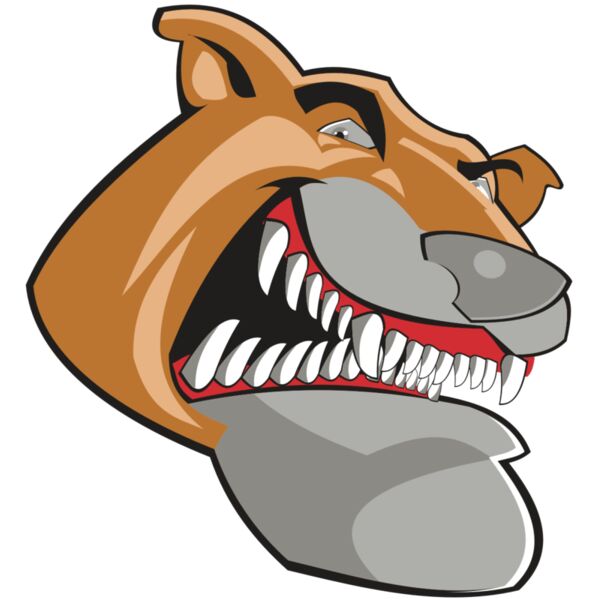 COUGAR HD0504 RQC Vignette