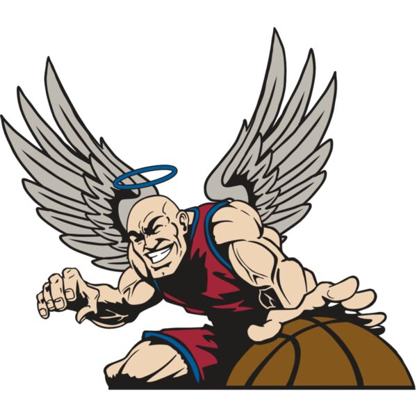 AR17 ANGEL BSKT 04 RQC Vignette