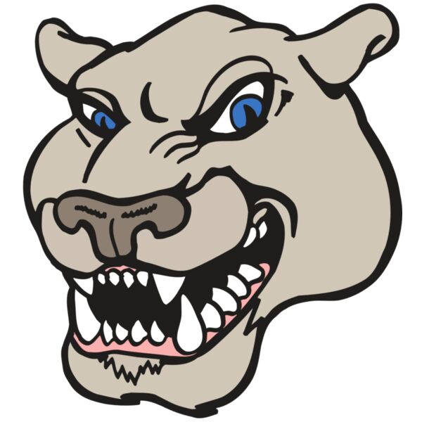 AR5 COUGAR 10 RQC Vignette