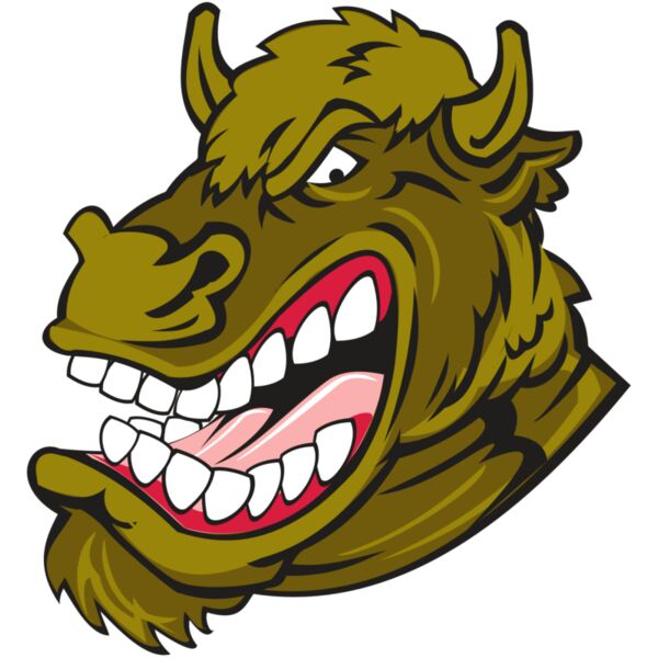 BUFFALO HD0501 RQC Vignette