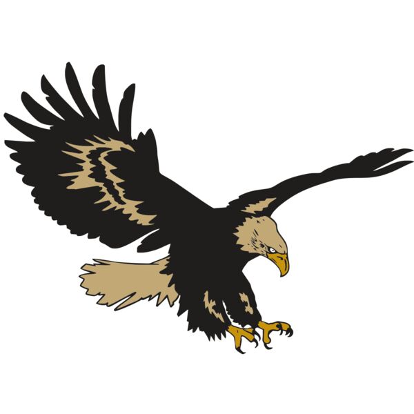 AR EAGLE 47 RC Vignette