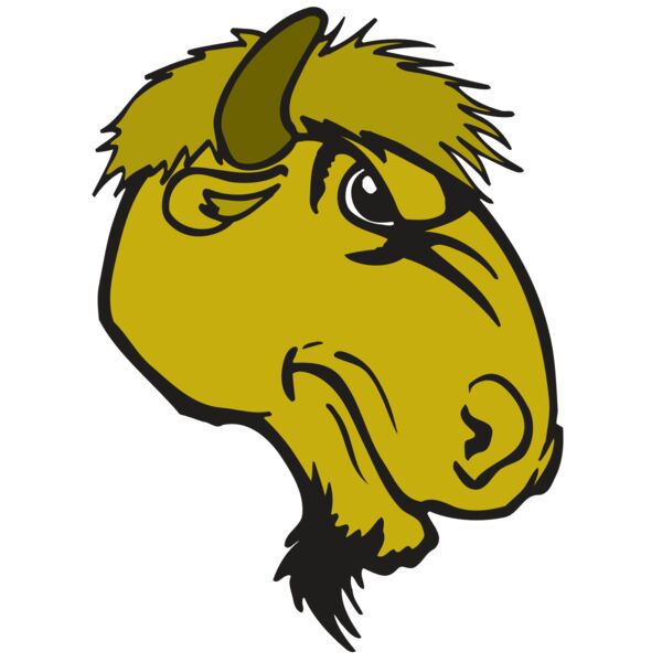 AR BUFFALO 14 RC Vignette