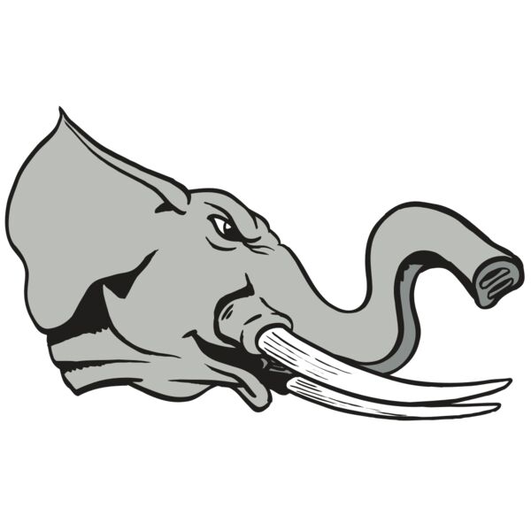 AR ELEPH 16 RC Vignette