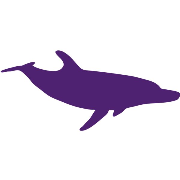 AR DOLPIN 12 RC Vignette