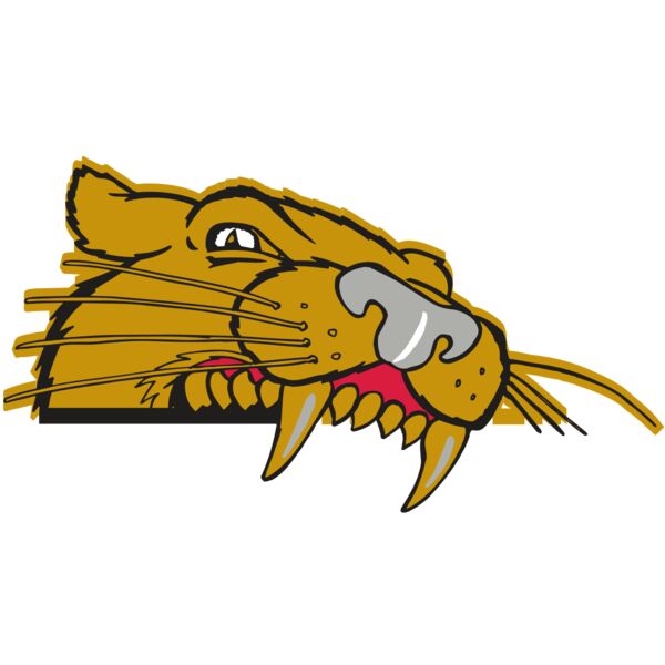 AR COUGAR 73 RC Vignette