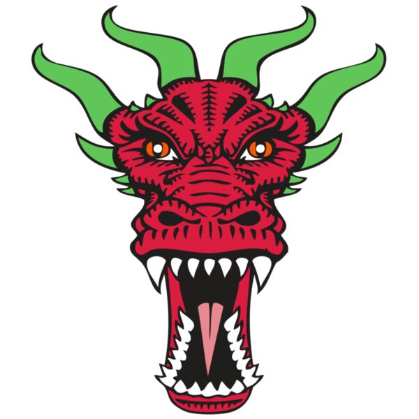 BAW DRAGON 09 RC Vignette