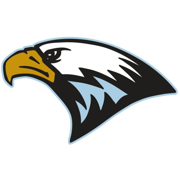 AR EAGLE 27 RC Vignette