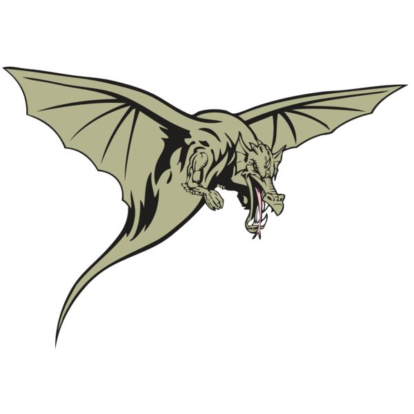 BAW DRAGON 12 RC Vignette