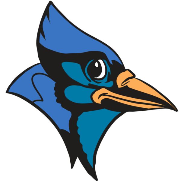 AR31 BLUEJAY 04 RQC Vignette