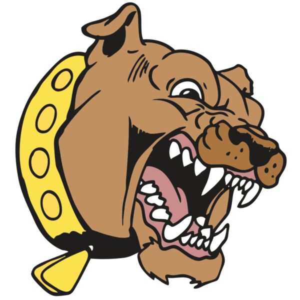 AR BDOG 49 RC Vignette