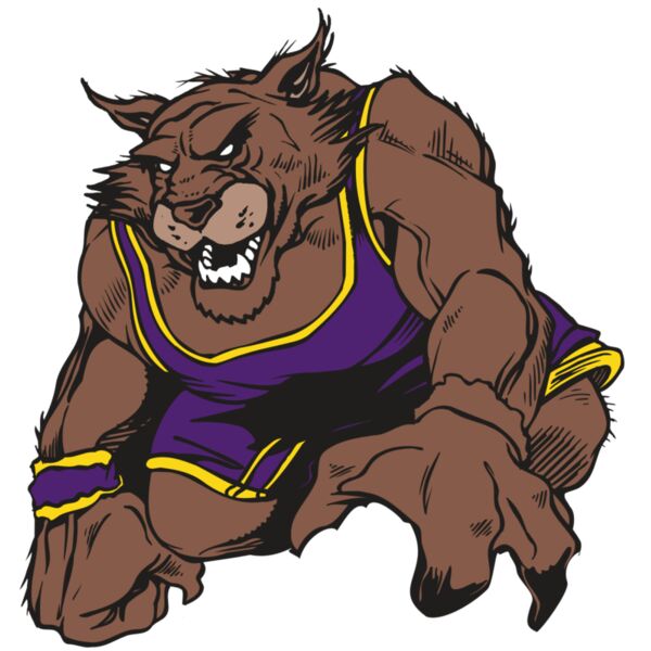 AR WILDCAT 23 RC Vignette