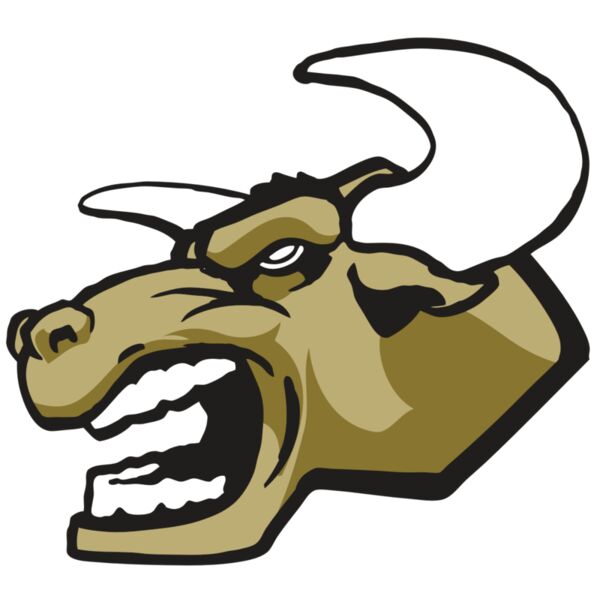 AR3 BULL 01 RQC Vignette