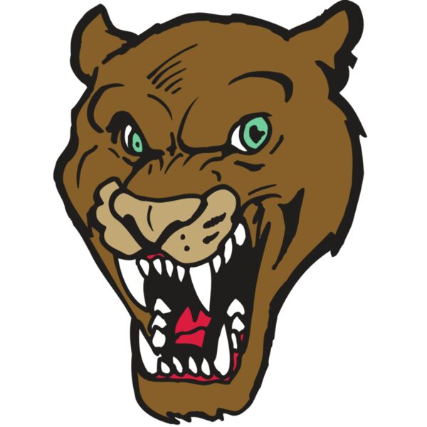 AR5 COUGAR 16 RQC Vignette