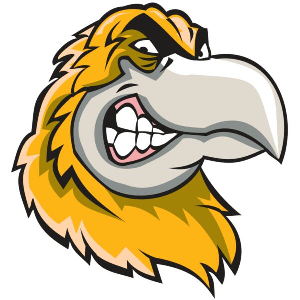 HAWK HD0503 RQC Vignette