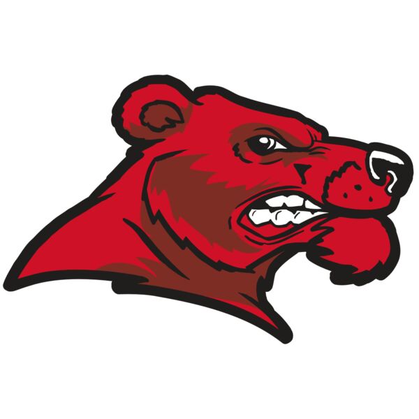 AR BEAR 55 RC Vignette