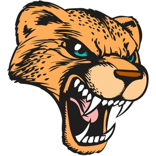 BAW CHEETAH 19 RC Vignette