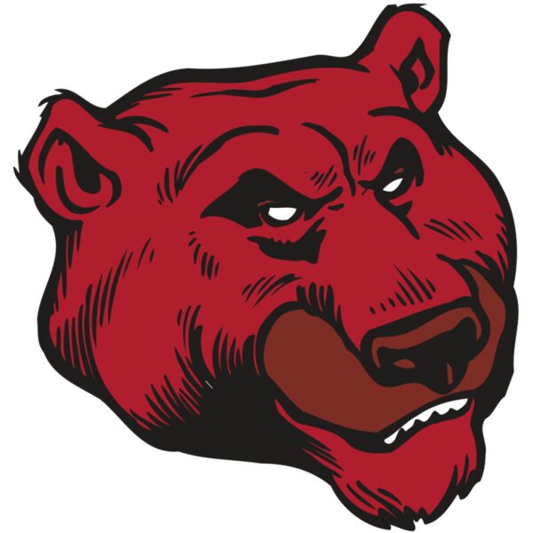 AR BEAR 10 RC Vignette