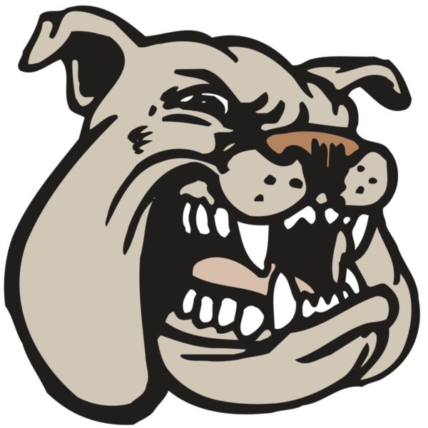 AR BDOG 38 RC Vignette