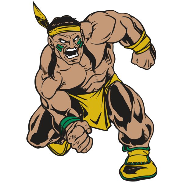 AR BRAVE 50 RC Vignette