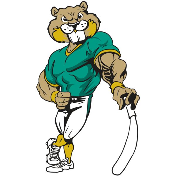 AR4 BEAVER 01 RQC Vignette