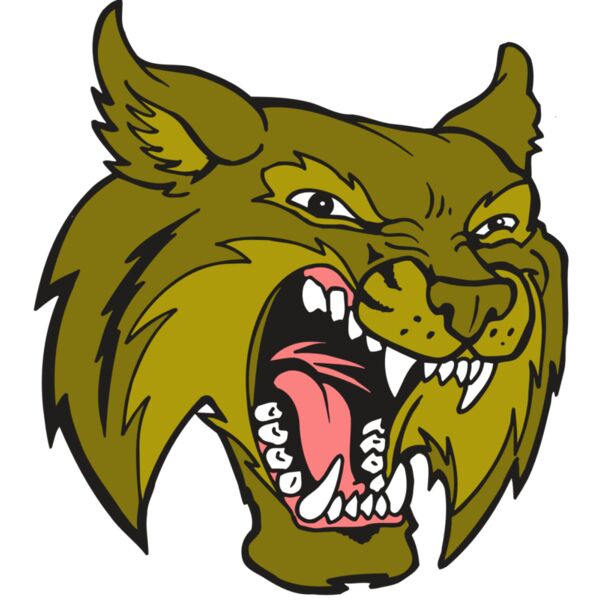 AR5 BOBCAT 20 RQC Vignette