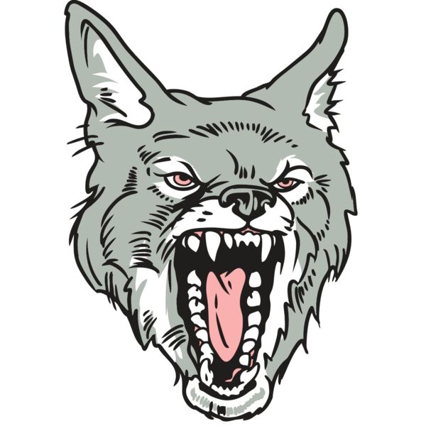 AR32 COYOTE 11 RQC Vignette