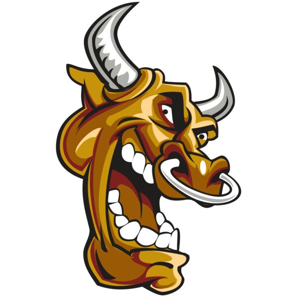 BULL HD0504 RQC Vignette