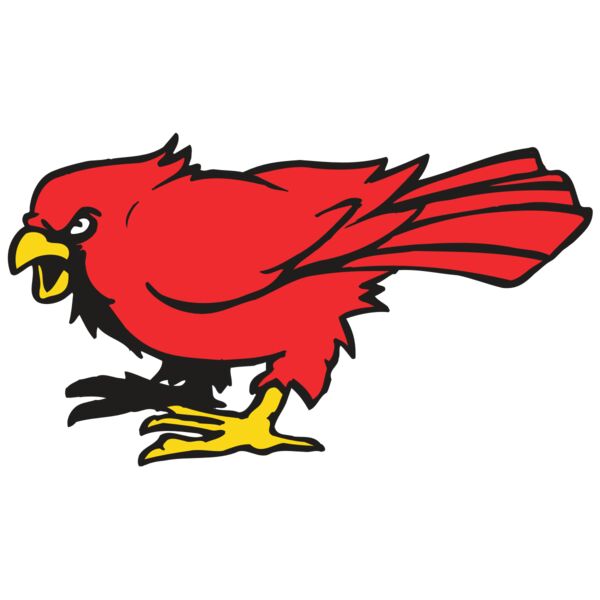 AR CARDINAL 11 RC Vignette