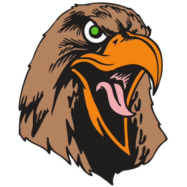 BAW HWK FLCN 01 RC Vignette