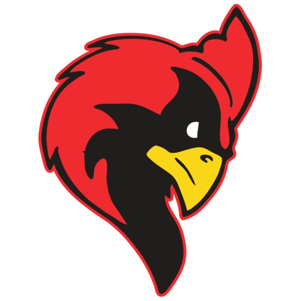 AR CARDINAL 24 RC Vignette