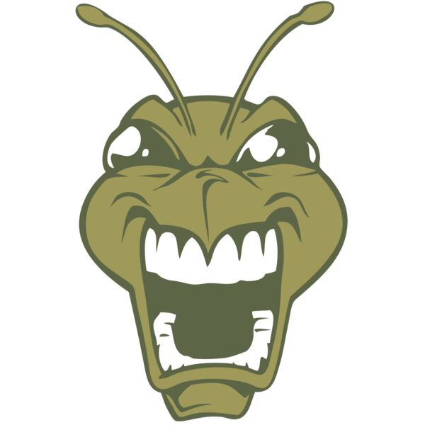 BAW BEE 13 RC Vignette