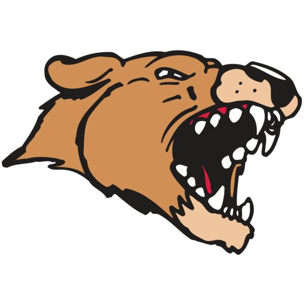 AR5 COUGAR 33 RQC Vignette