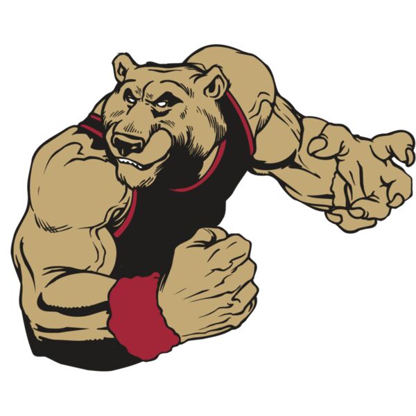 AR BEAR 40 RC Vignette