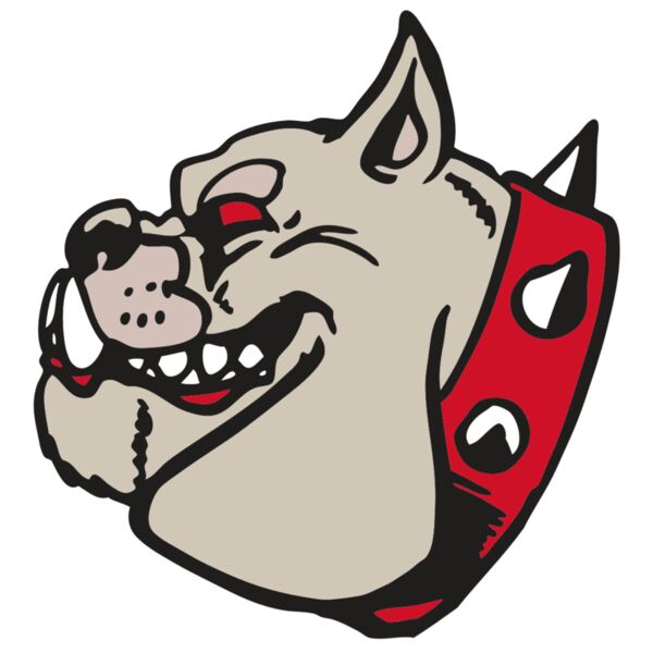 AR BDOG 47 RC Vignette