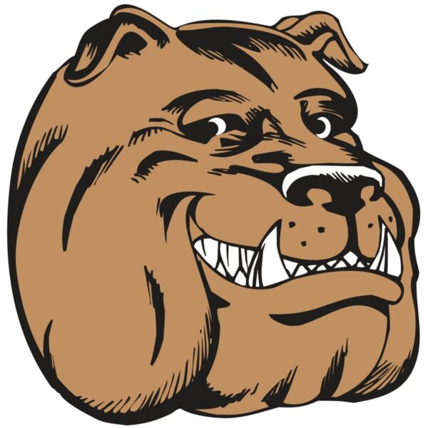 BAW BULLDOG 04 RC Vignette