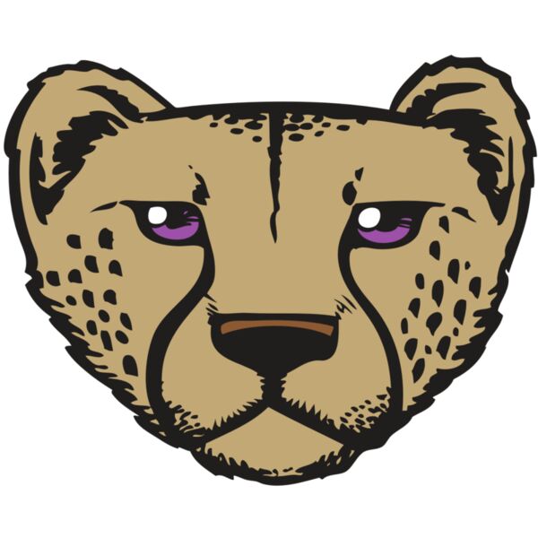 BAW CHEETAH 14 RC Vignette