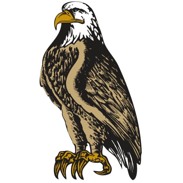 BAW EAG 02 RC Vignette