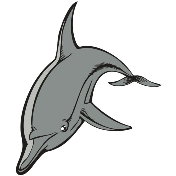 BAW DOLPHIN 03 RC Vignette