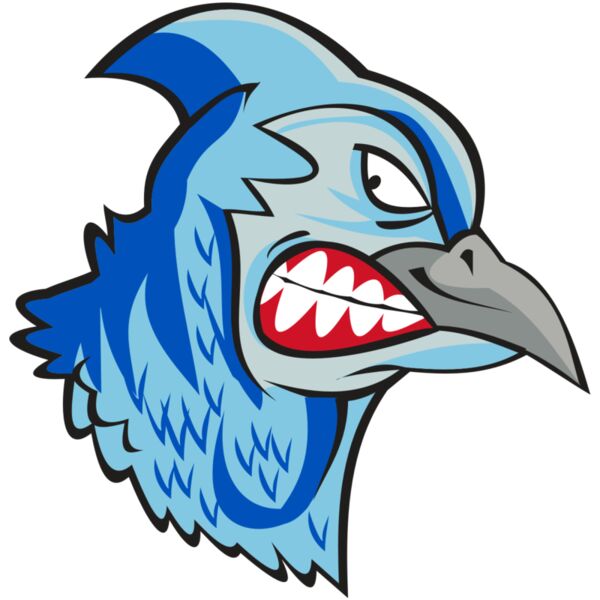 BLUEJAY HD0503 RQC Vignette