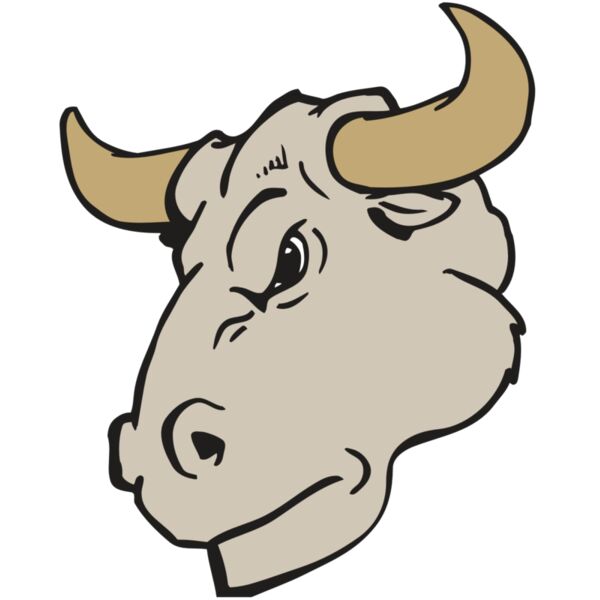 AR BULL 25 RC Vignette