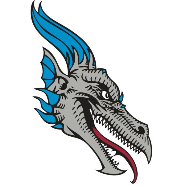 BAW DRAGON 07 RC Vignette