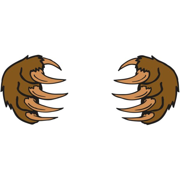 AR BEAR 05 RC Vignette