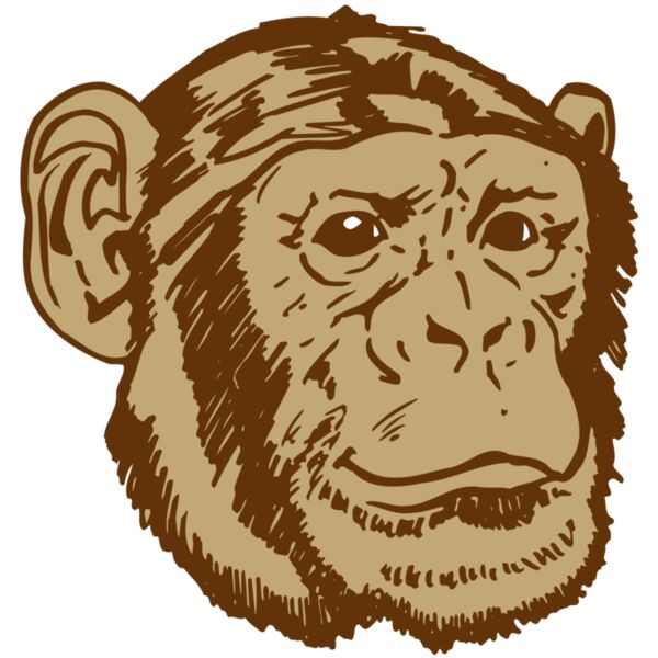 AR OTHER 47 RC Vignette