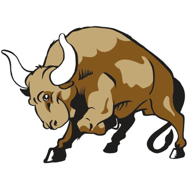 AR BULL 41 RC Vignette